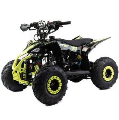 Квадроцикл детский MotoLand (Мотолэнд) VOX110 RAPTOR (машинокомплект)